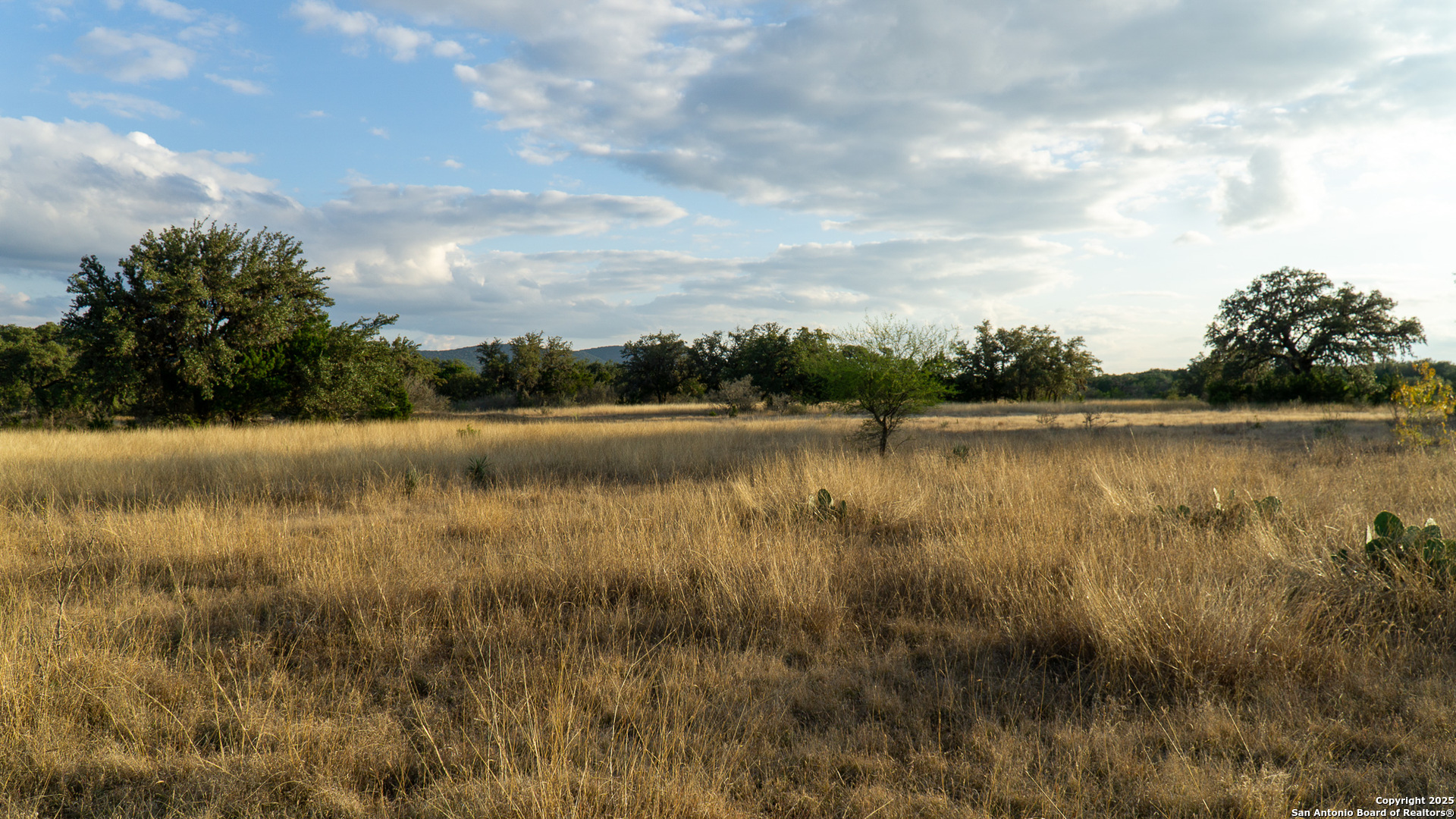 1593 County Road 354 Utopia TX 78884