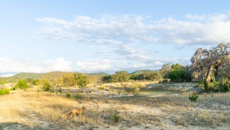1593 County Road 354 Utopia TX 78884
