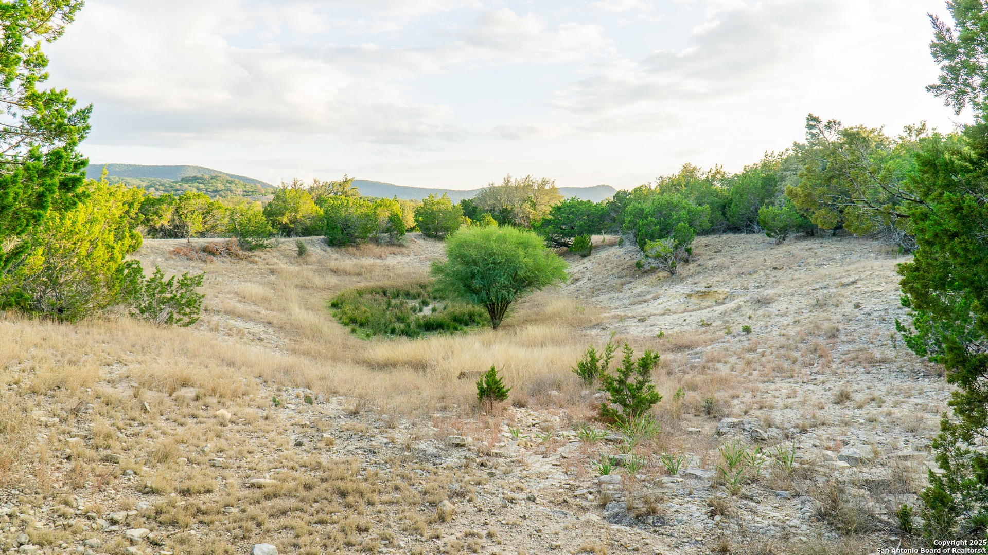 1593 County Road 354 Utopia TX 78884