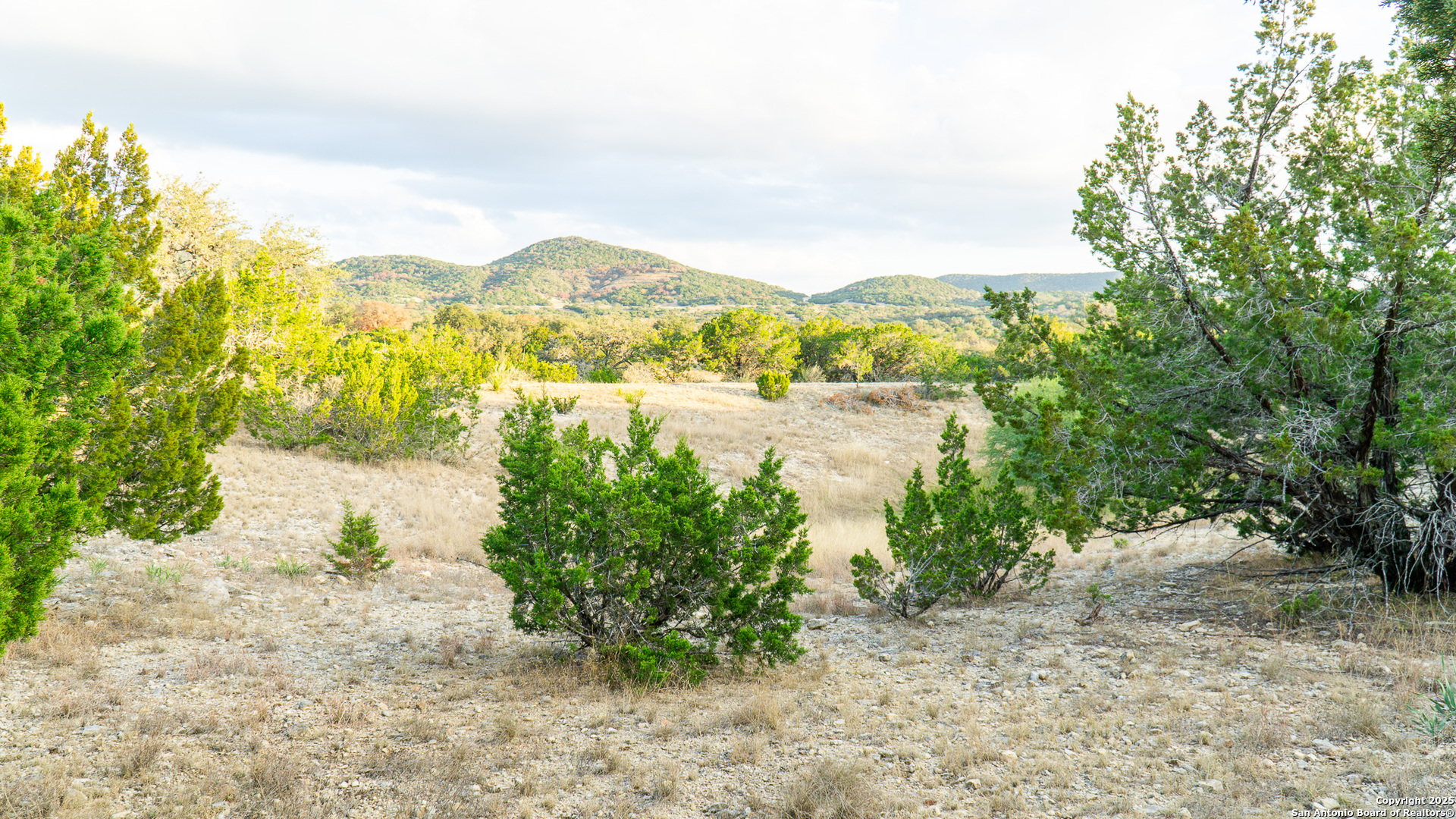 1593 County Road 354 Utopia TX 78884