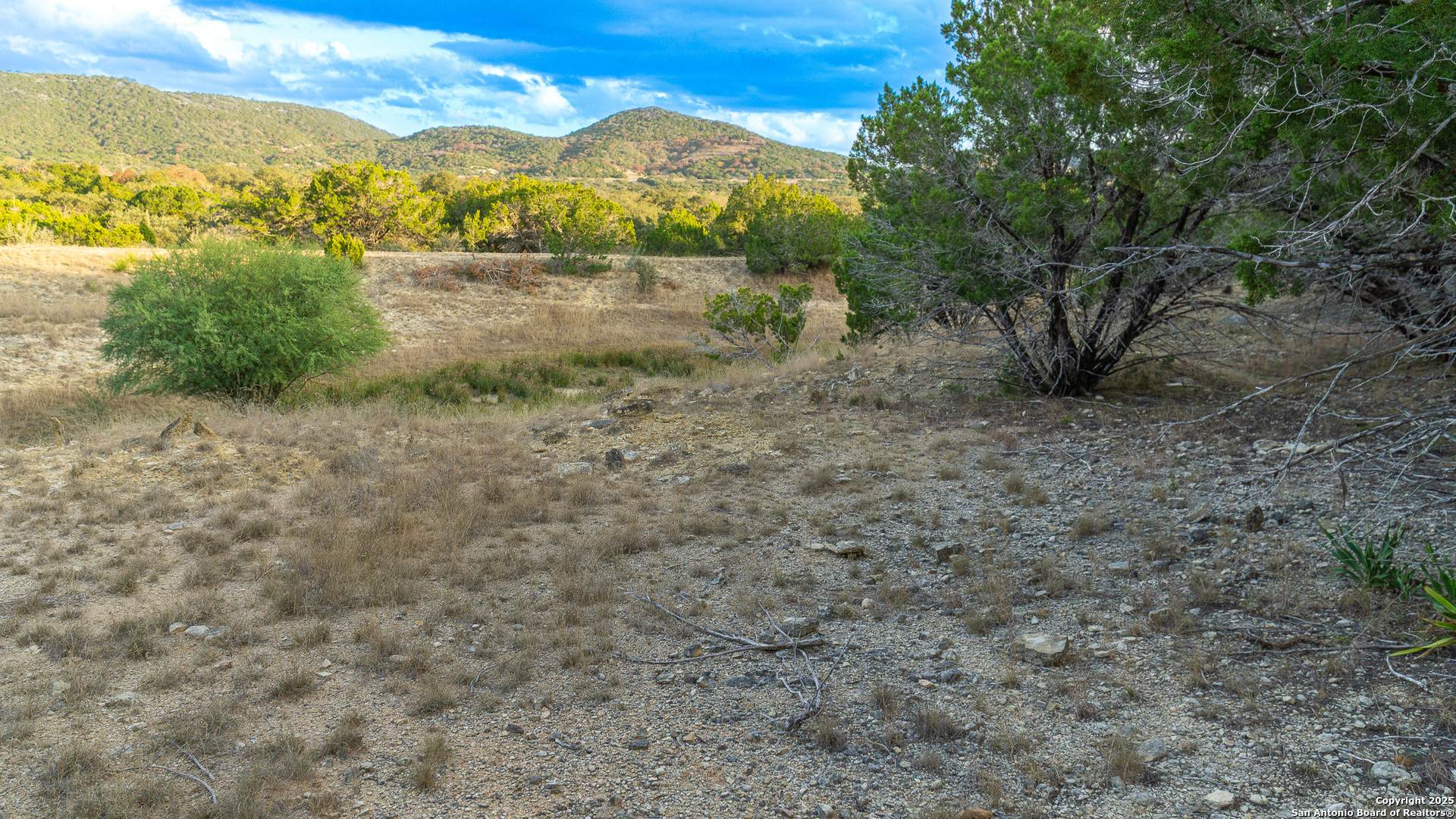 1593 County Road 354 Utopia TX 78884