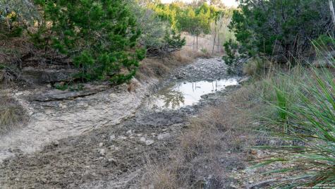 1593 County Road 354 Utopia TX 78884