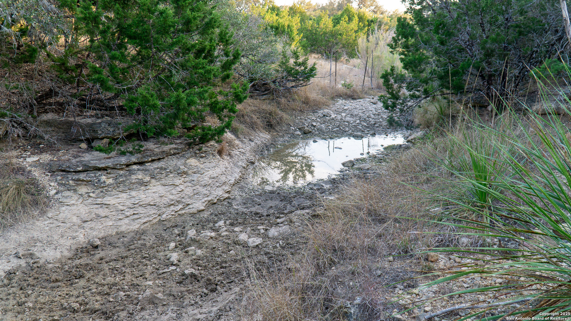1593 County Road 354 Utopia TX 78884