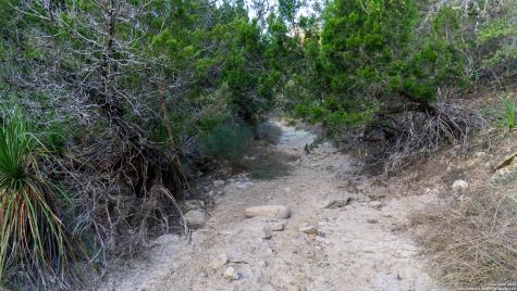 1593 County Road 354 Utopia TX 78884