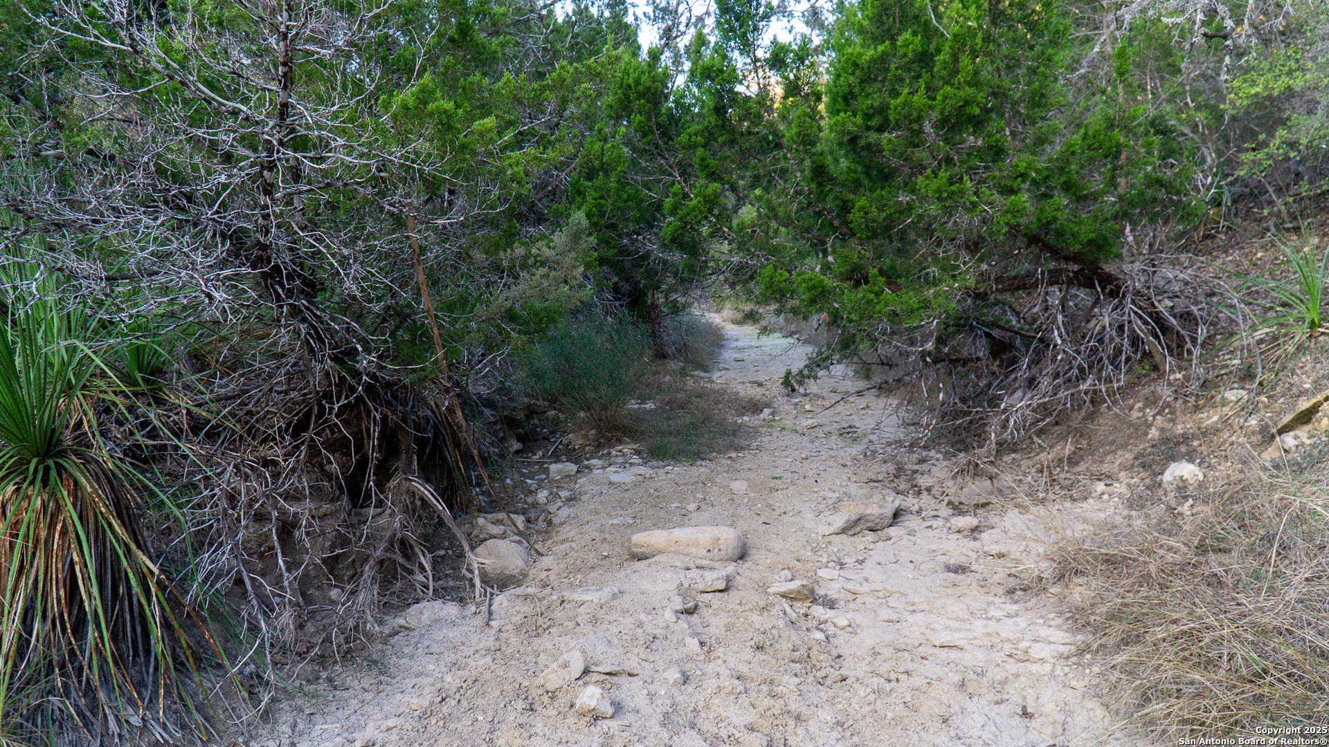 1593 County Road 354 Utopia TX 78884