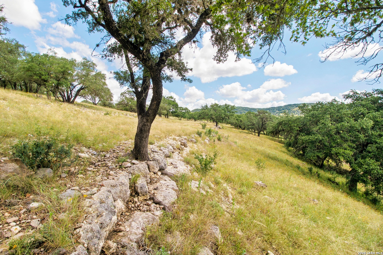 18954 State Highway 16 N Medina TX 78055