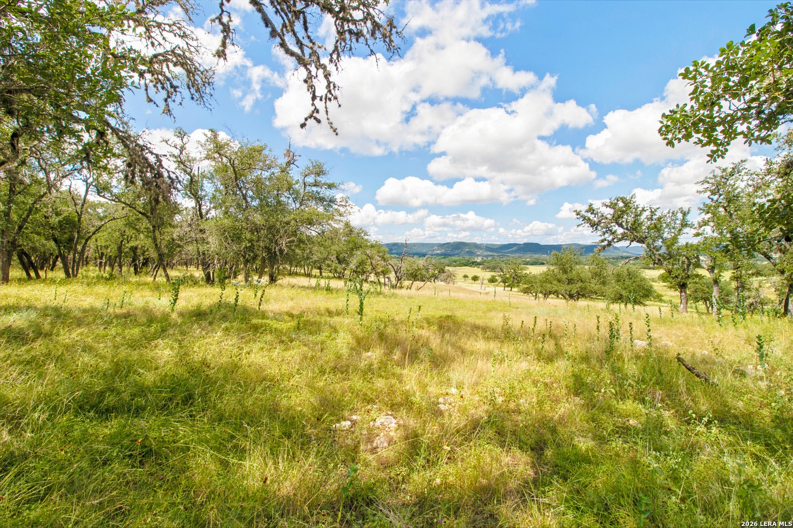 18954 State Highway 16 N Medina TX 78055