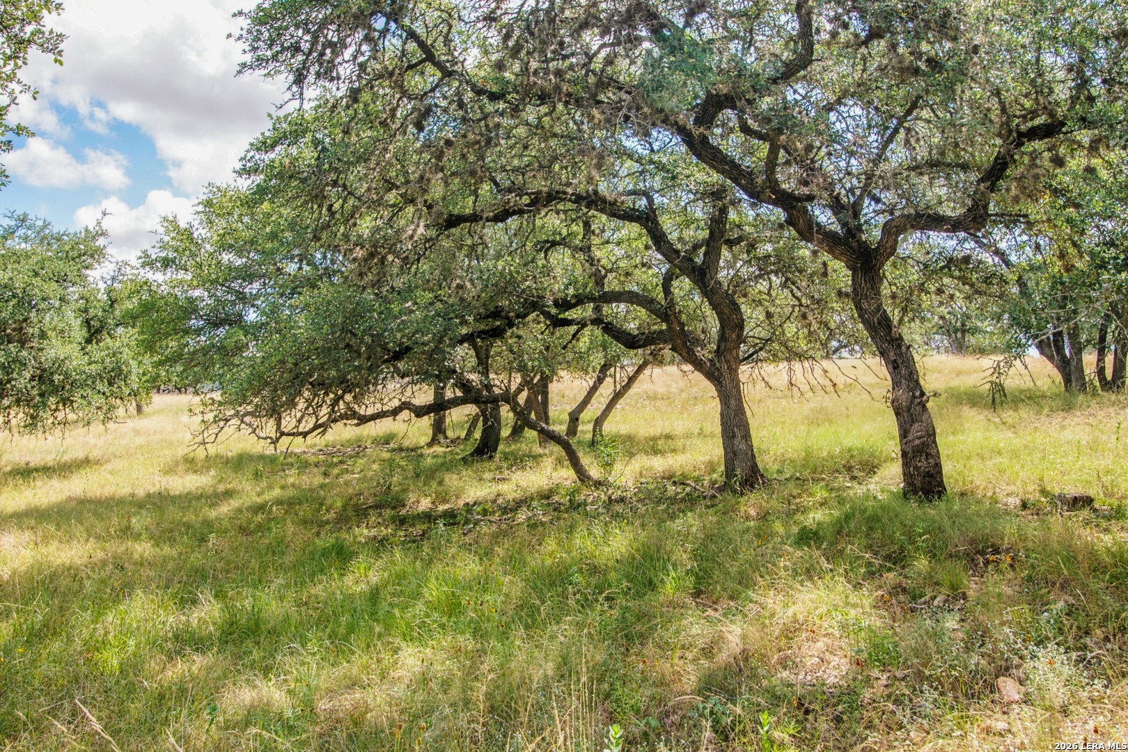 18954 State Highway 16 N Medina TX 78055