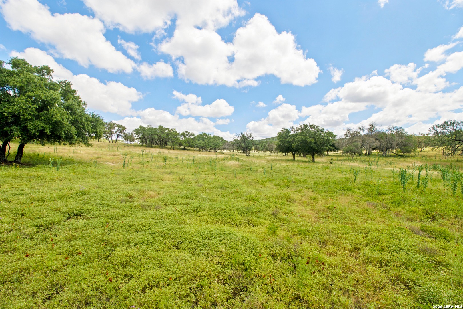 18954 State Highway 16 N Medina TX 78055