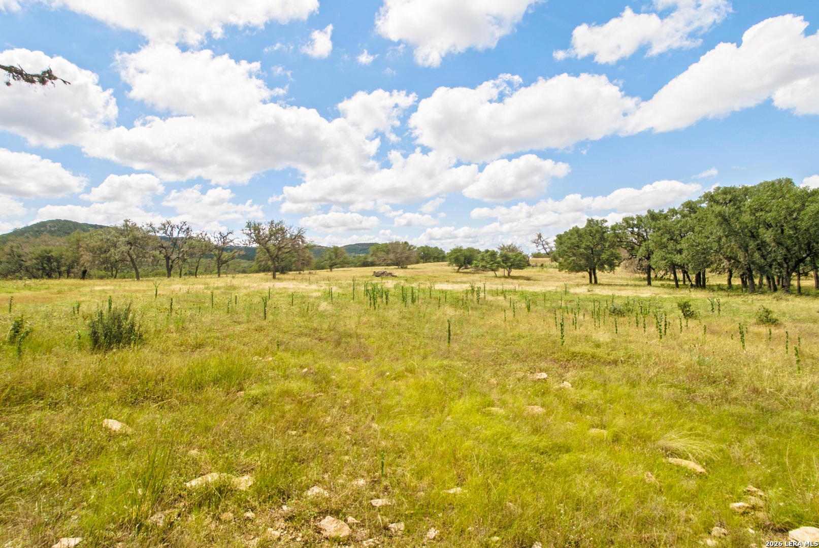 18954 State Highway 16 N Medina TX 78055