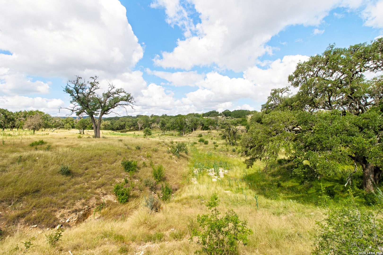 18954 State Highway 16 N Medina TX 78055