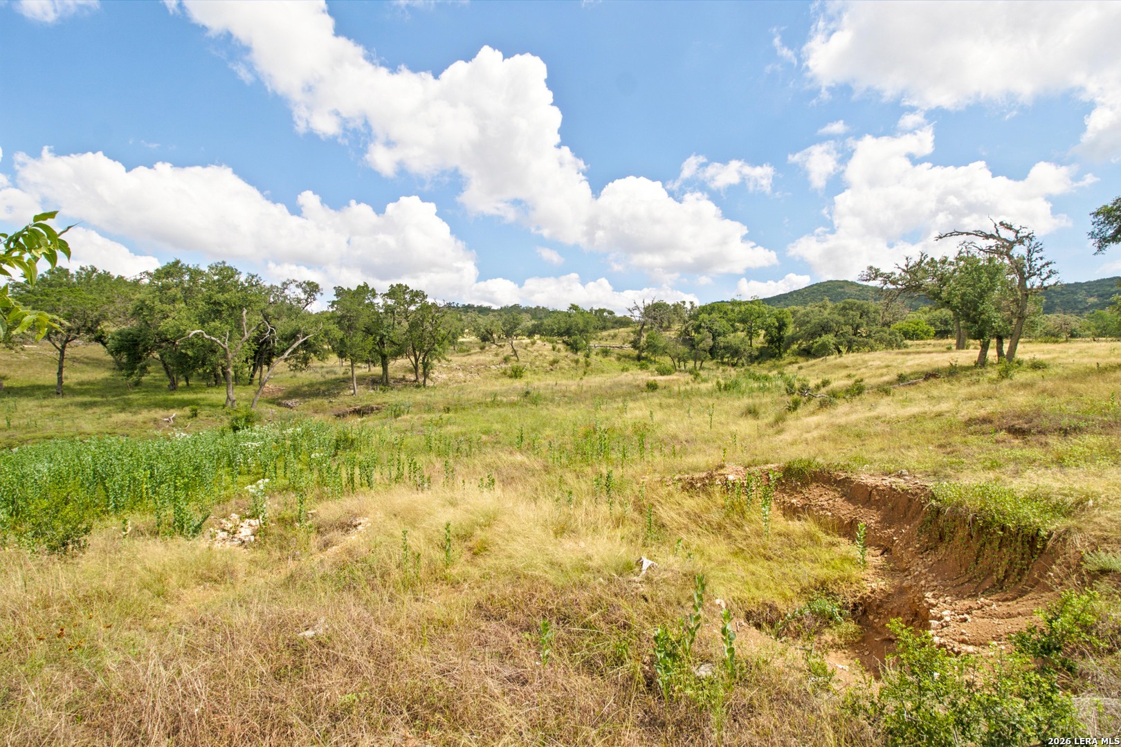 18954 State Highway 16 N Medina TX 78055
