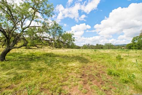 18954 State Highway 16 N Medina TX 78055