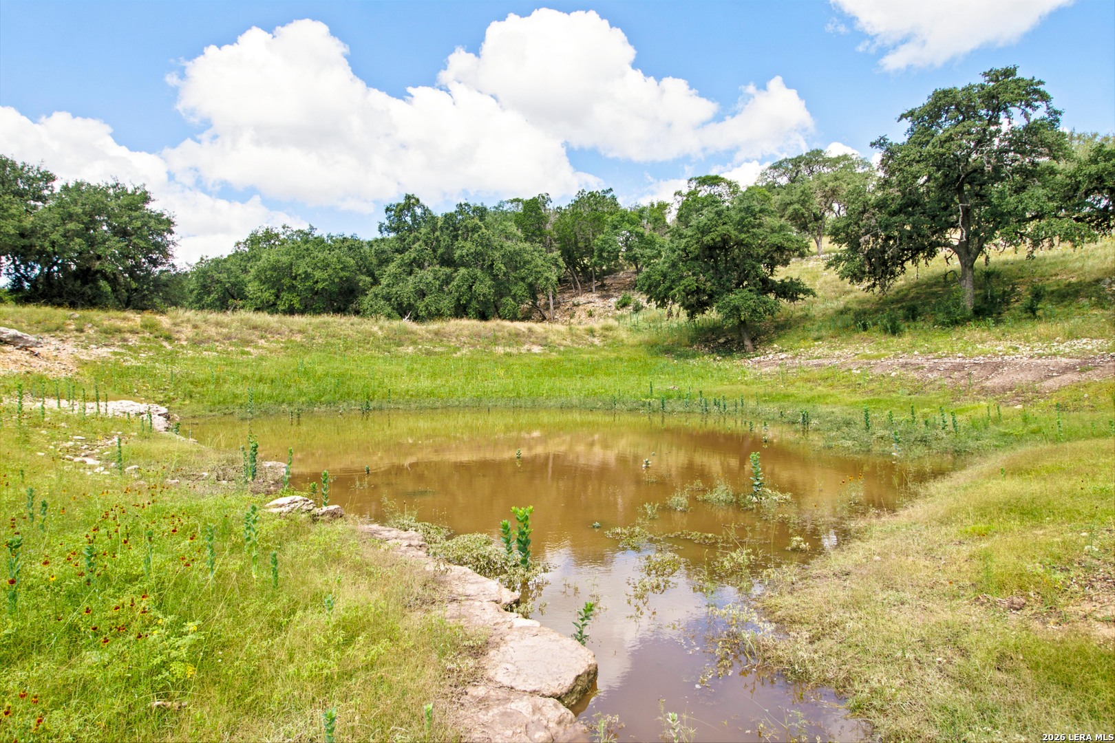 18954 State Highway 16 N Medina TX 78055
