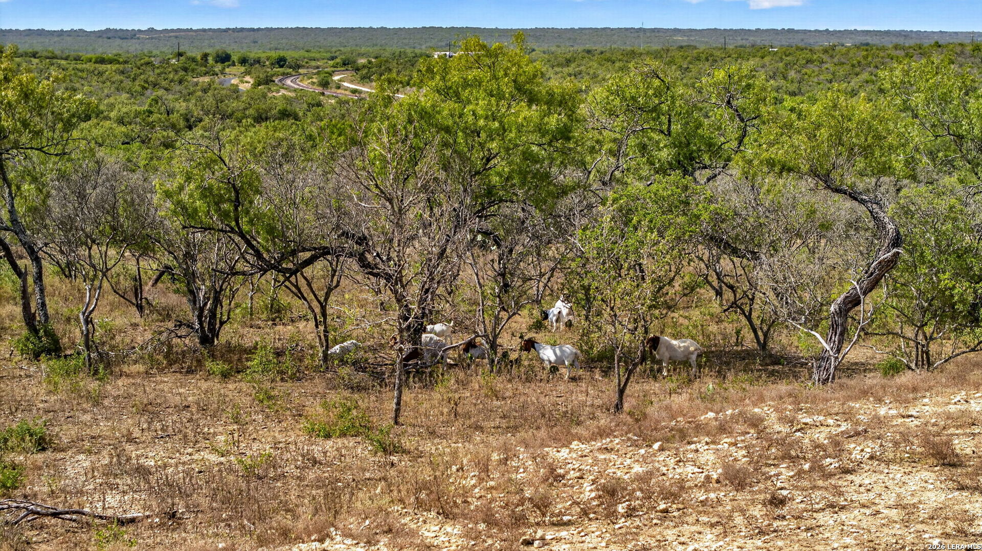 Tbd County Road 4514 Devine TX 78016