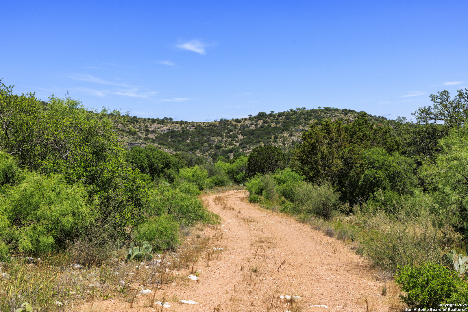 256 Persimmon Point Mason TX 76856