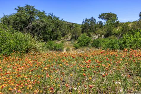 256 Persimmon Point Mason TX 76856