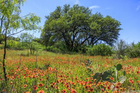 256 Persimmon Point Mason TX 76856