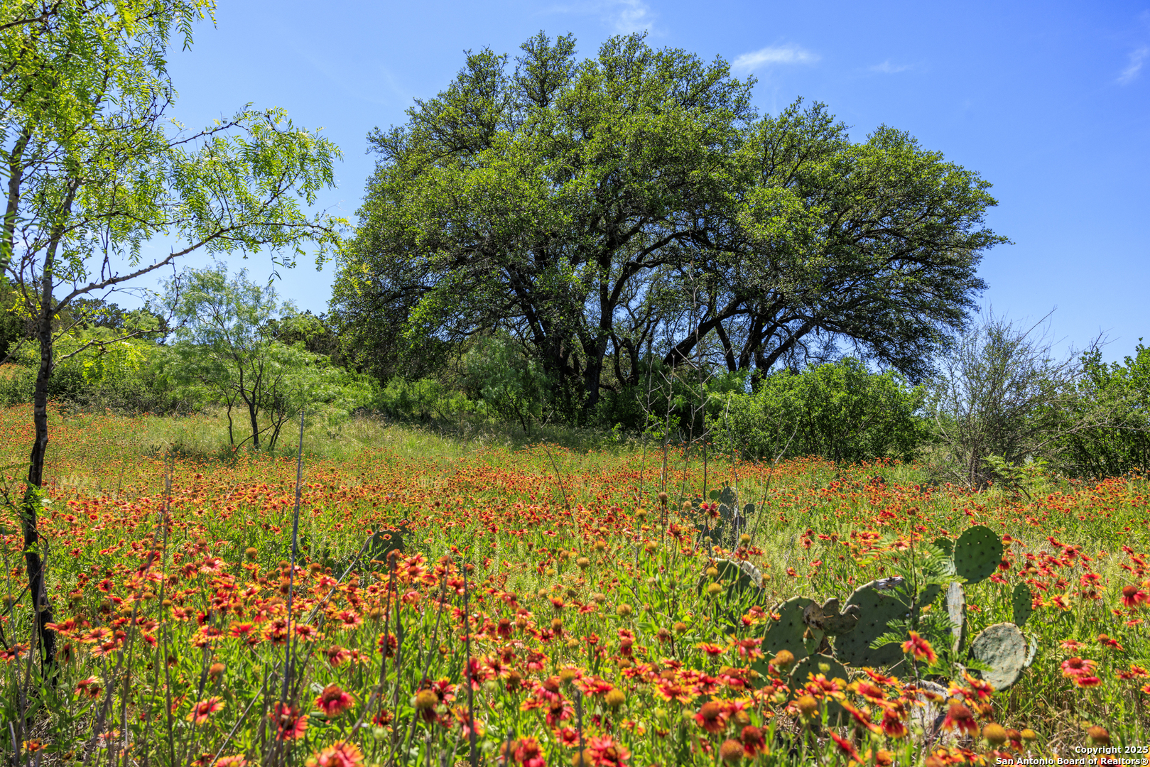 256 Persimmon Point Mason TX 76856