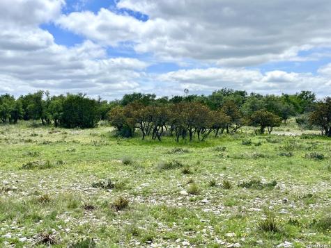 221 Turkey Run Eldorado TX 76936