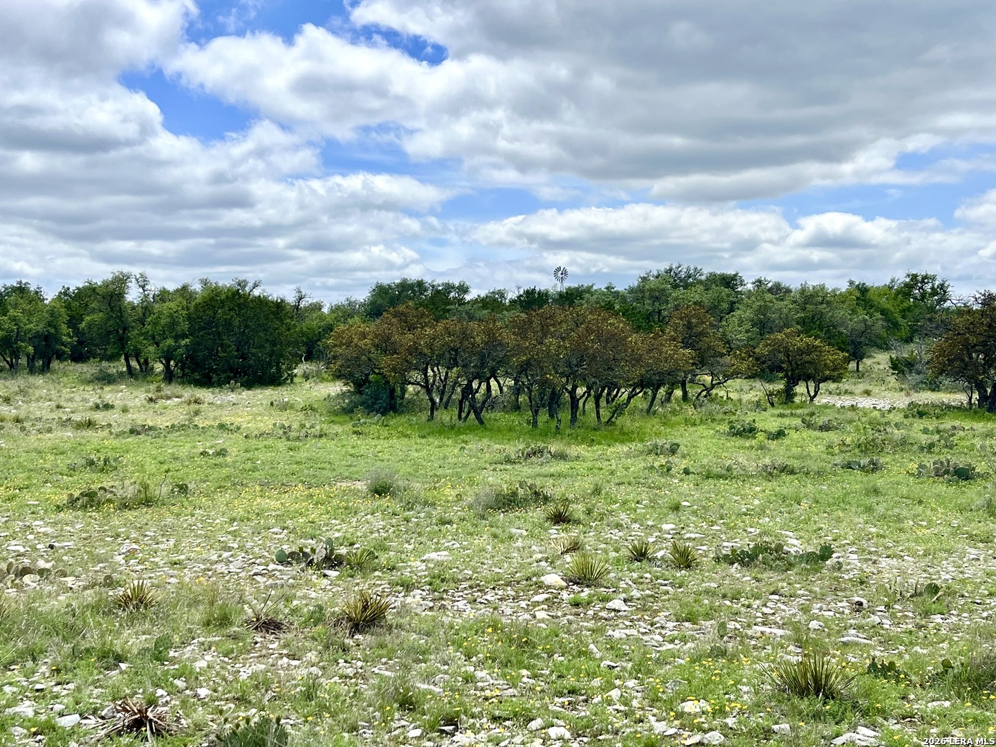 221 Turkey Run Eldorado TX 76936