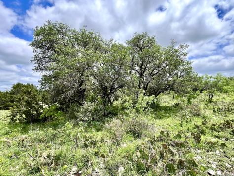 221 Turkey Run Eldorado TX 76936