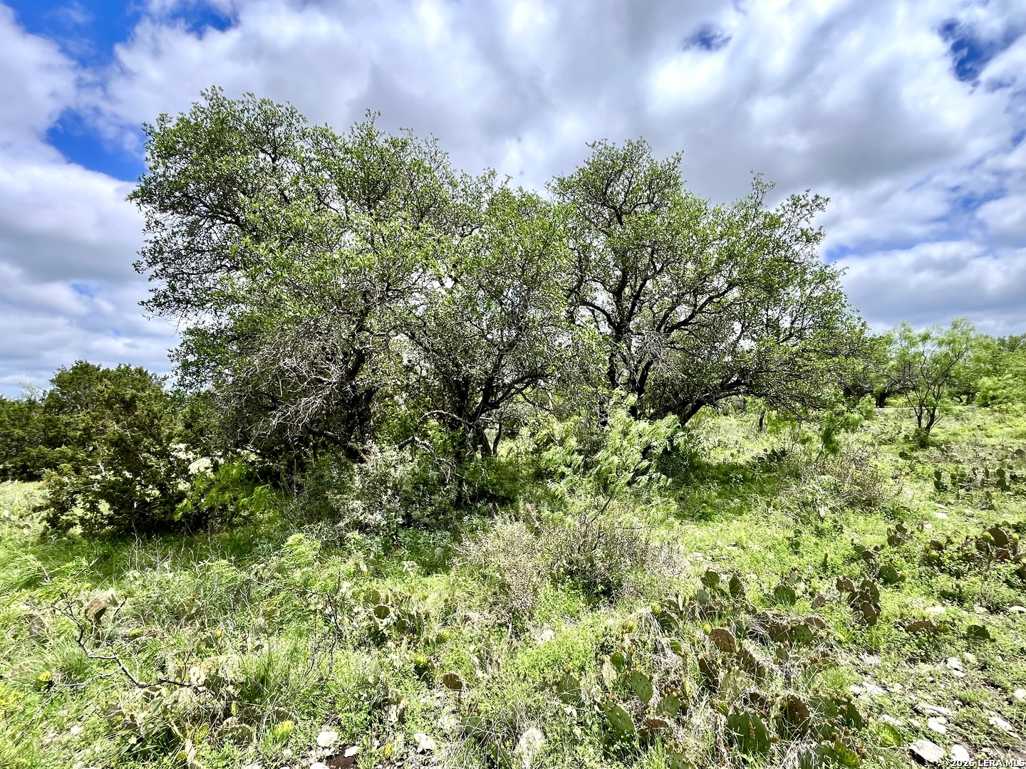221 Turkey Run Eldorado TX 76936