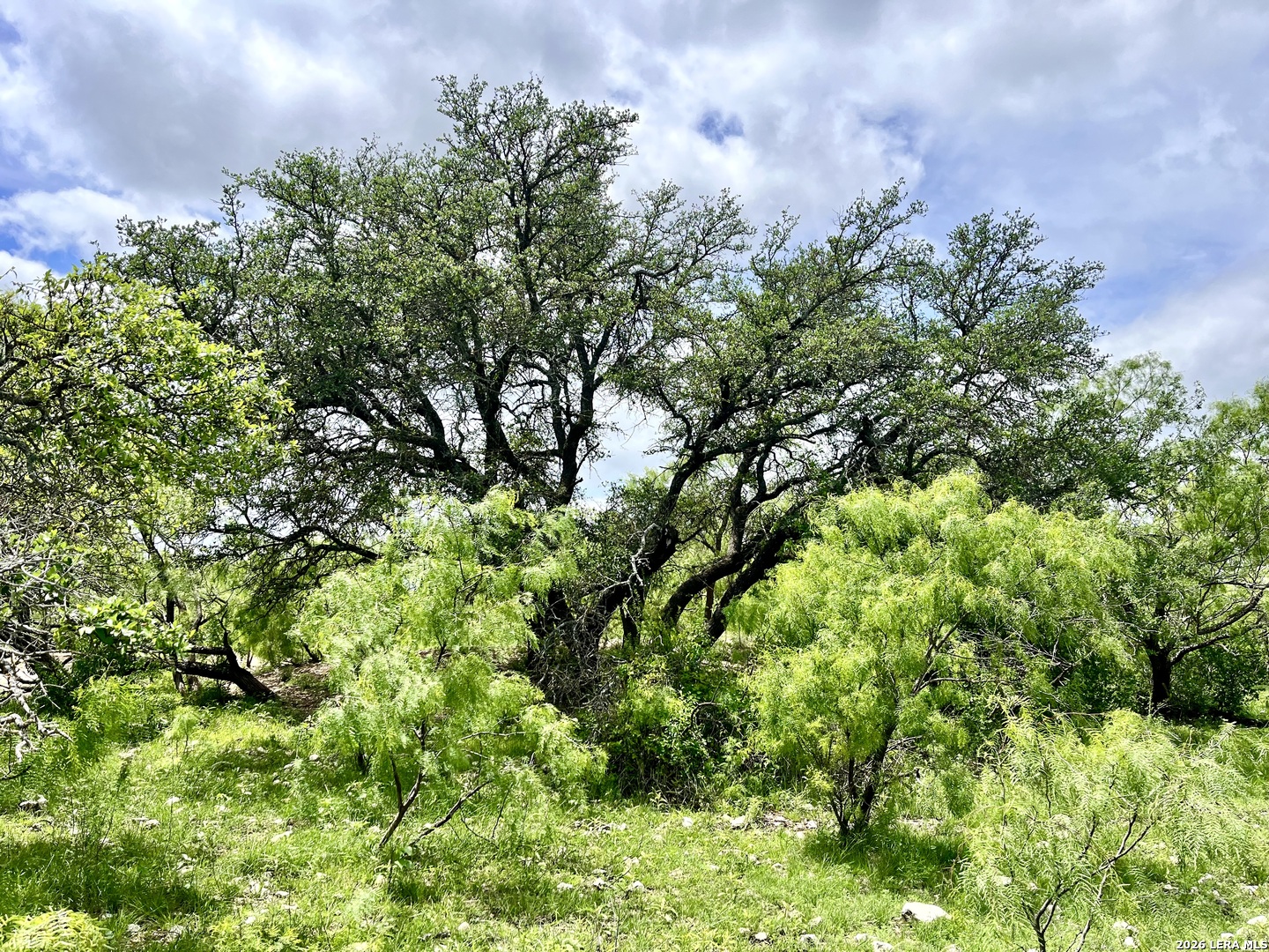 221 Turkey Run Eldorado TX 76936