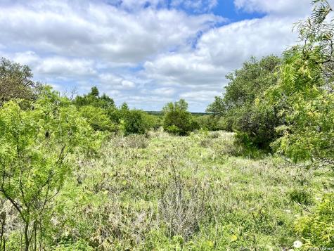 221 Turkey Run Eldorado TX 76936