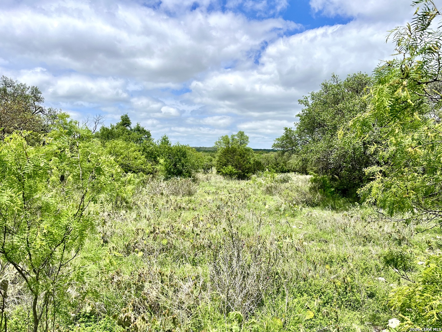 221 Turkey Run Eldorado TX 76936
