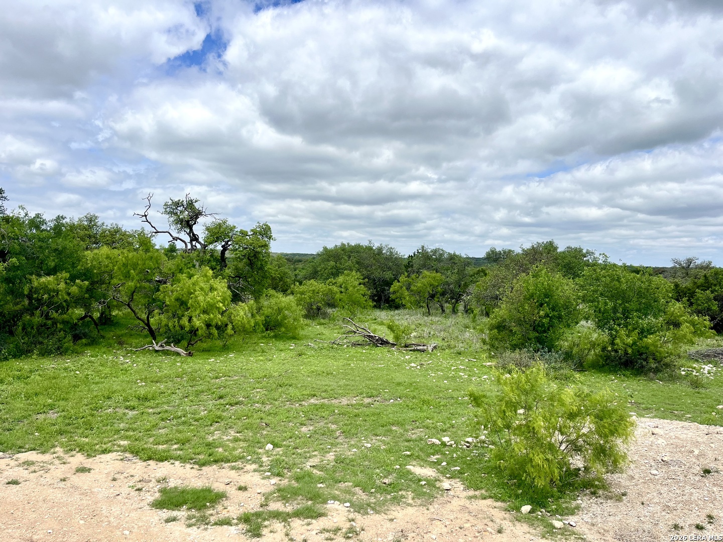 221 Turkey Run Eldorado TX 76936