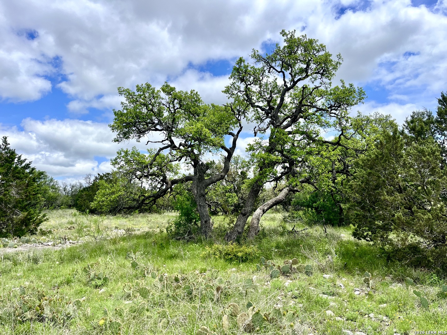 221 Turkey Run Eldorado TX 76936