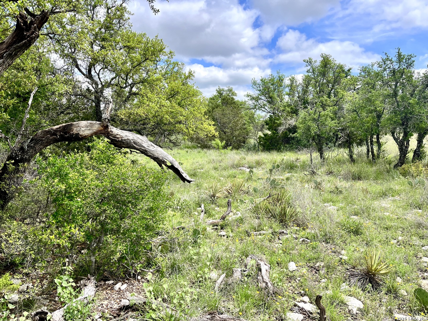 221 Turkey Run Eldorado TX 76936