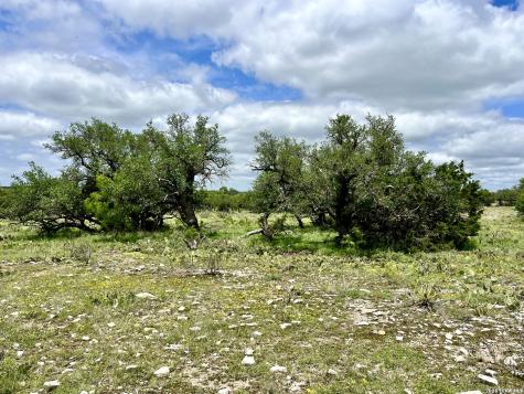 221 Turkey Run Eldorado TX 76936