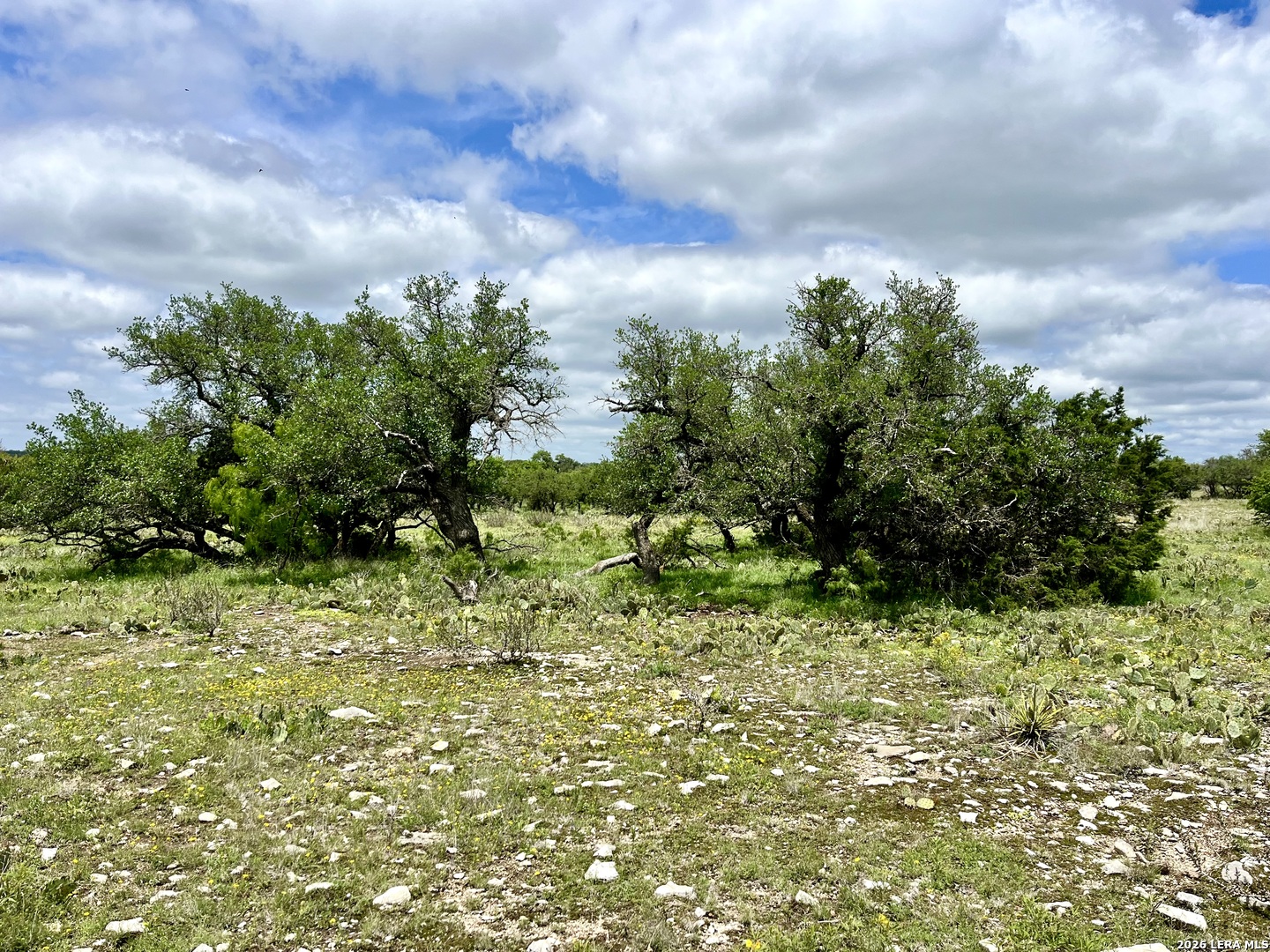 221 Turkey Run Eldorado TX 76936