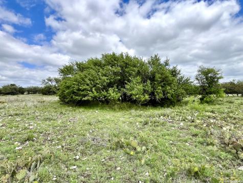 221 Turkey Run Eldorado TX 76936