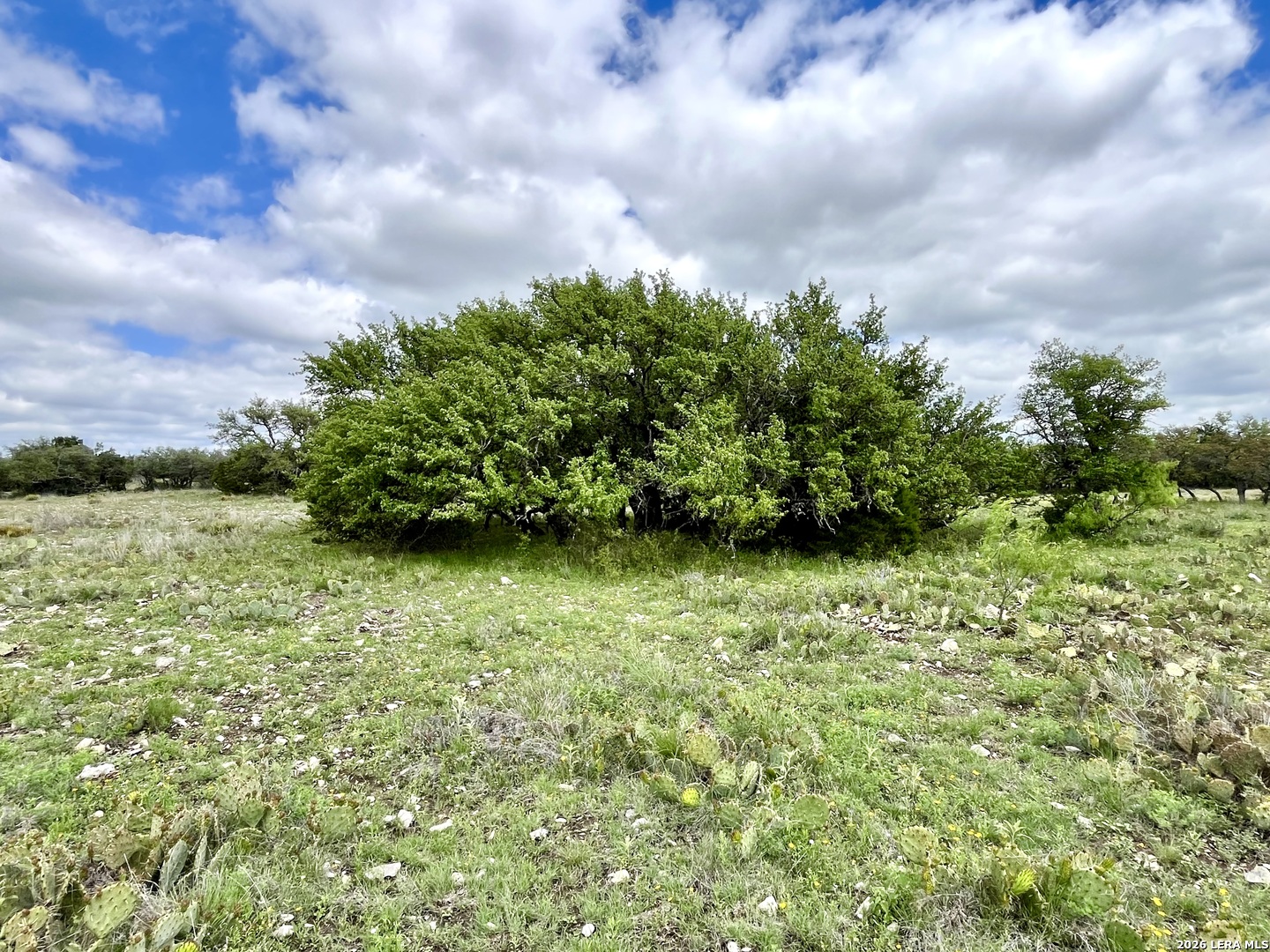 221 Turkey Run Eldorado TX 76936