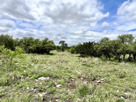 221 Turkey Run Eldorado TX 76936