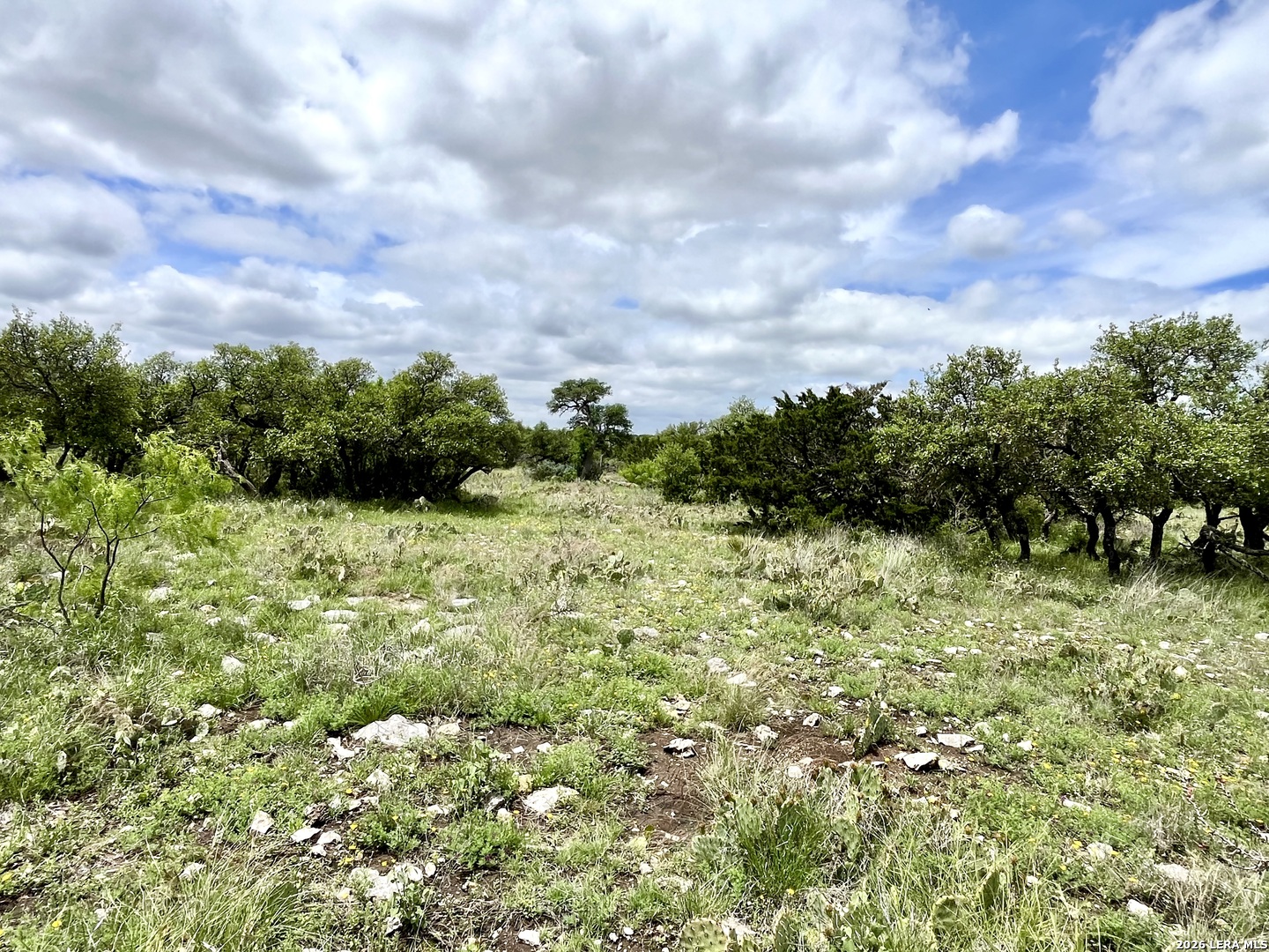 221 Turkey Run Eldorado TX 76936