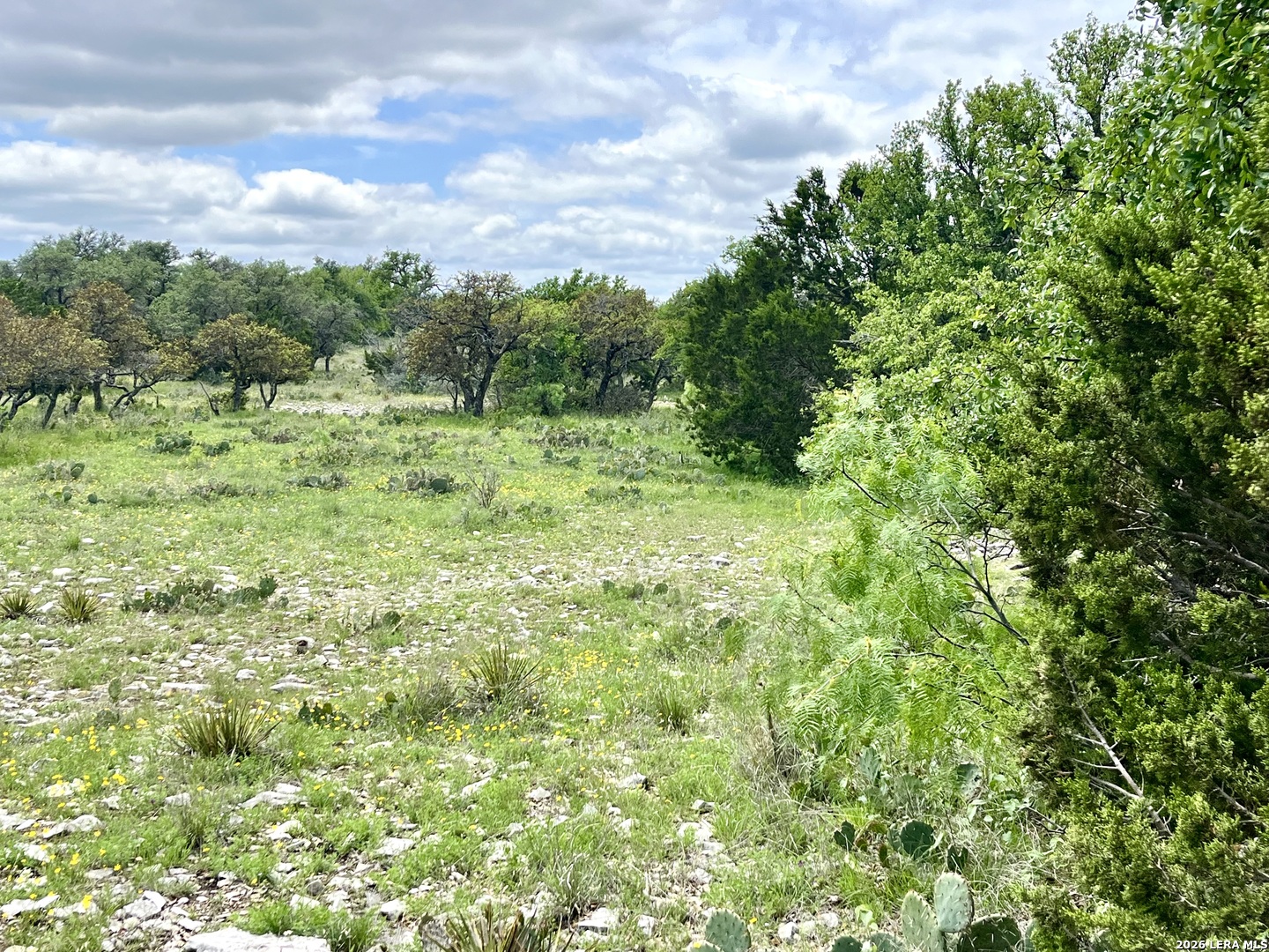 221 Turkey Run Eldorado TX 76936