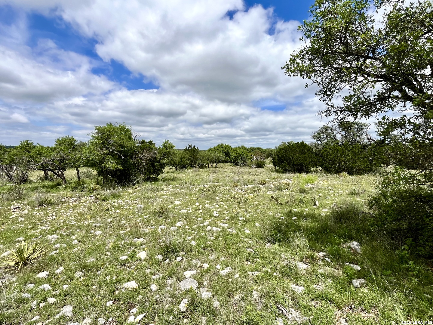 221 Turkey Run Eldorado TX 76936