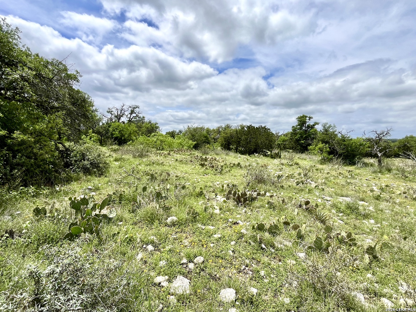 221 Turkey Run Eldorado TX 76936