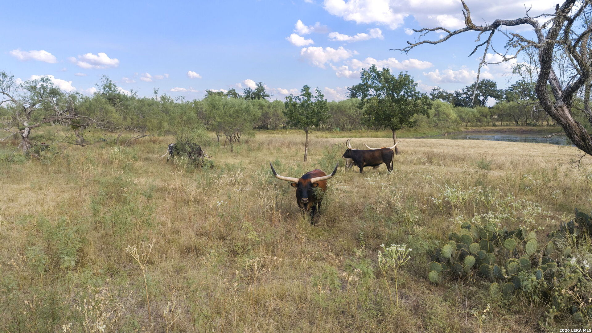 7914 S State Highway 16 Fredericksburg TX 78624