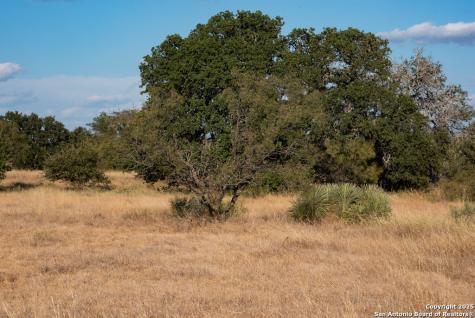12805 Blackjack Road Mason TX 76842