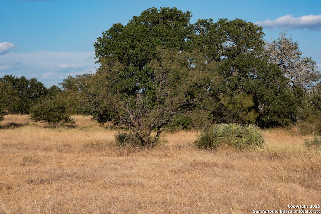 12805 Blackjack Road Mason TX 76842