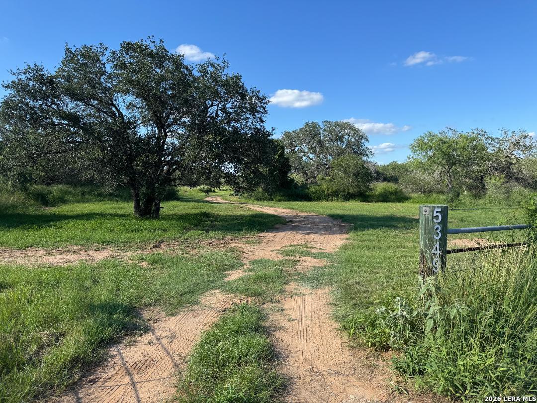 5349 Leal Road Pleasanton TX 78064