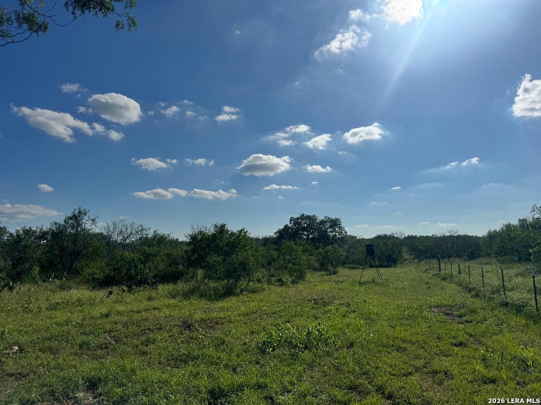 5349 Leal Road Pleasanton TX 78064