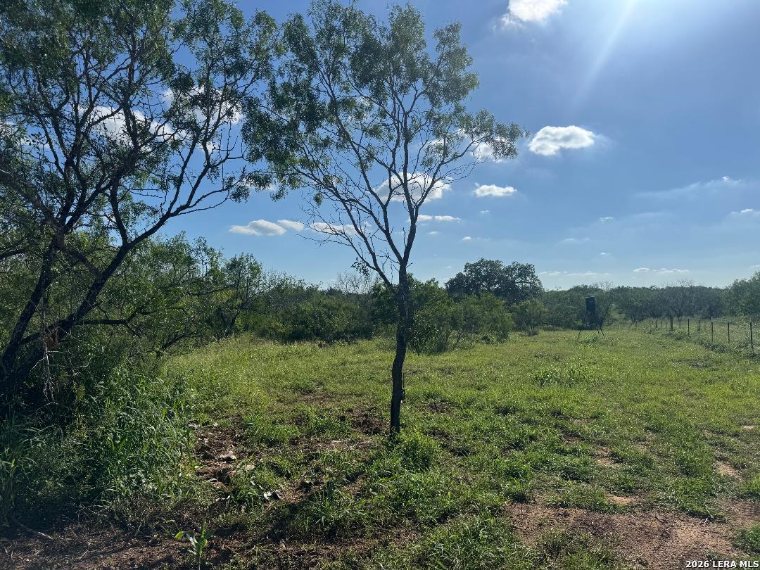 5349 Leal Road Pleasanton TX 78064