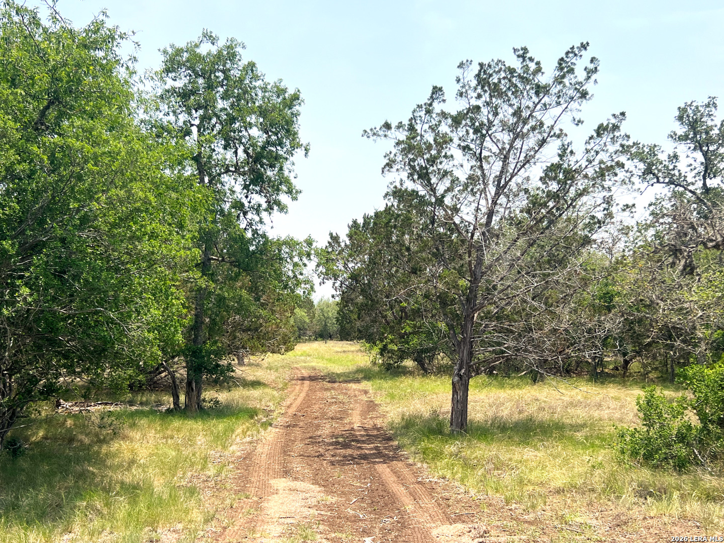 1220 Flying T Ranch Bandera TX 78003