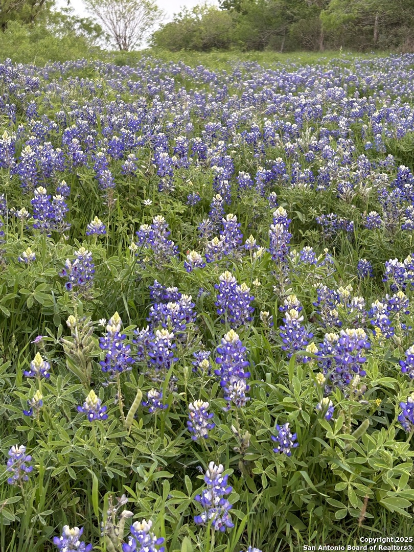 1912 Seminole Trail Dale TX 78616